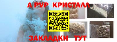 крисы Камышлов