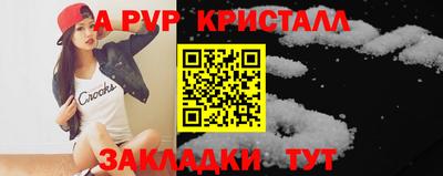 крисы Камышлов