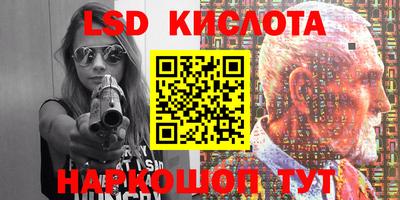 крисы Камышлов