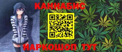 крисы Камышлов