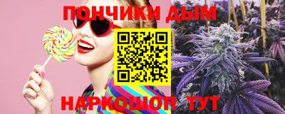 крисы Камышлов