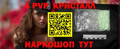 крисы Камышлов