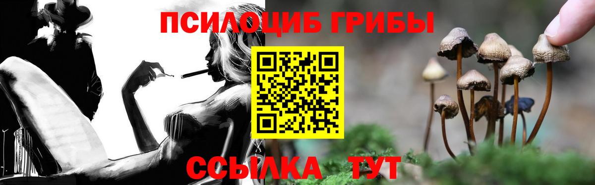 Псилоцибиновые грибы прущие грибы  купить наркотик  Уссурийск  Вход с VPN 